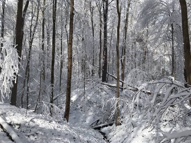 Sustainable Economies empowers organizations like Cleveland Museum of Natural History to create positive  change in places like  the Grand River Terraces.